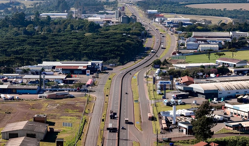 Brasil encerra 2024 com recorde de leilões