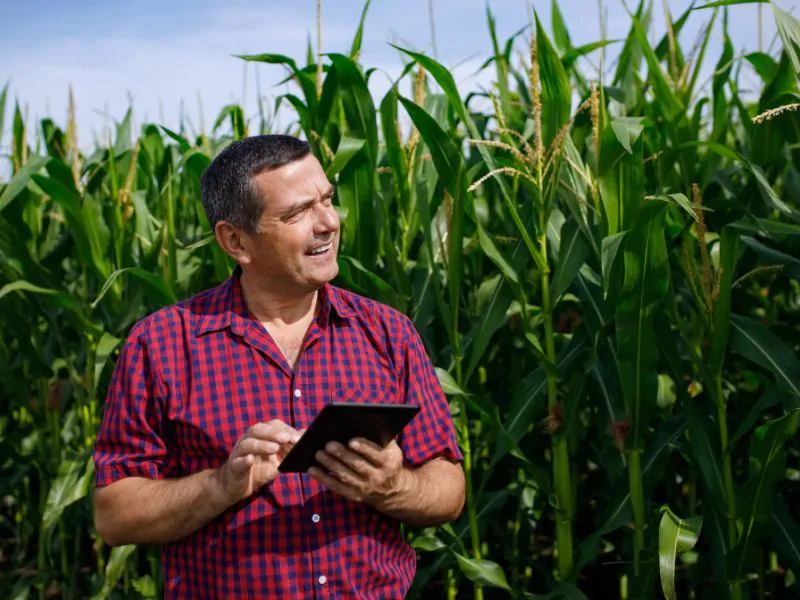 laudo de avaliação de imóvel rural e passos